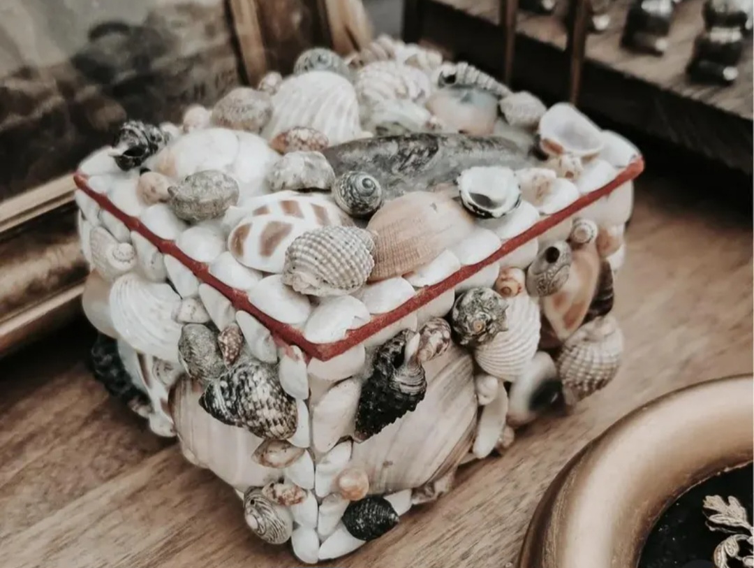 Vintage Hawaiian Seashell Jewelry Box