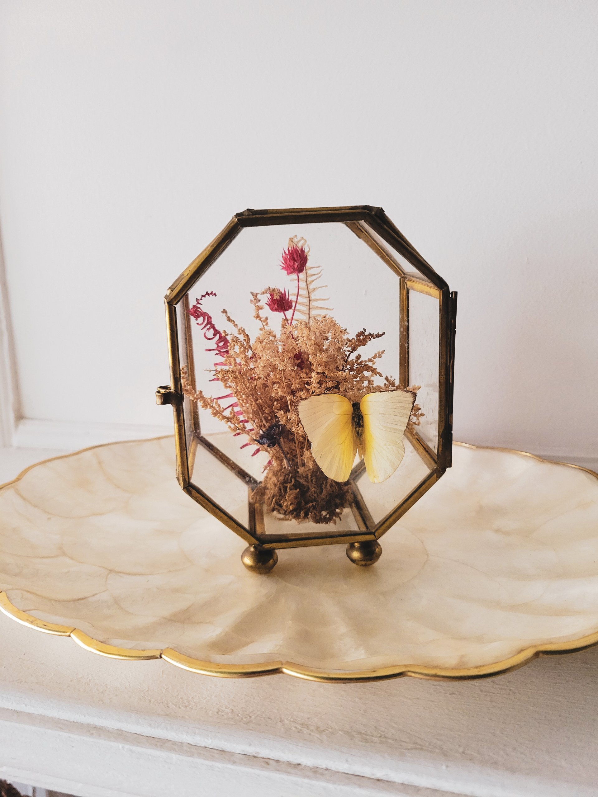 Mini Brass & Glass Cabinet | Butterfly & Botanical Display