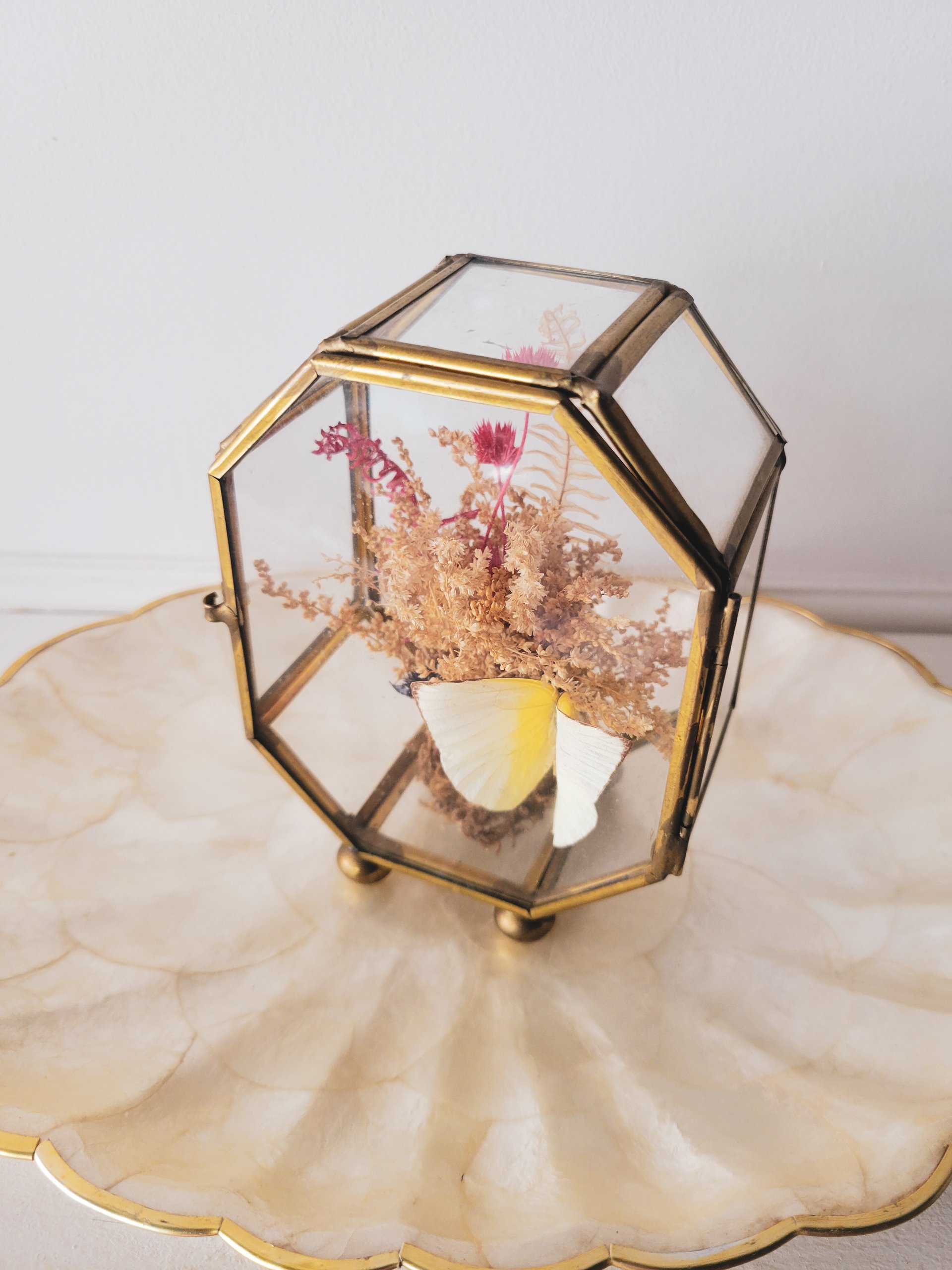 Mini Brass & Glass Cabinet | Butterfly & Botanical Display — view 2