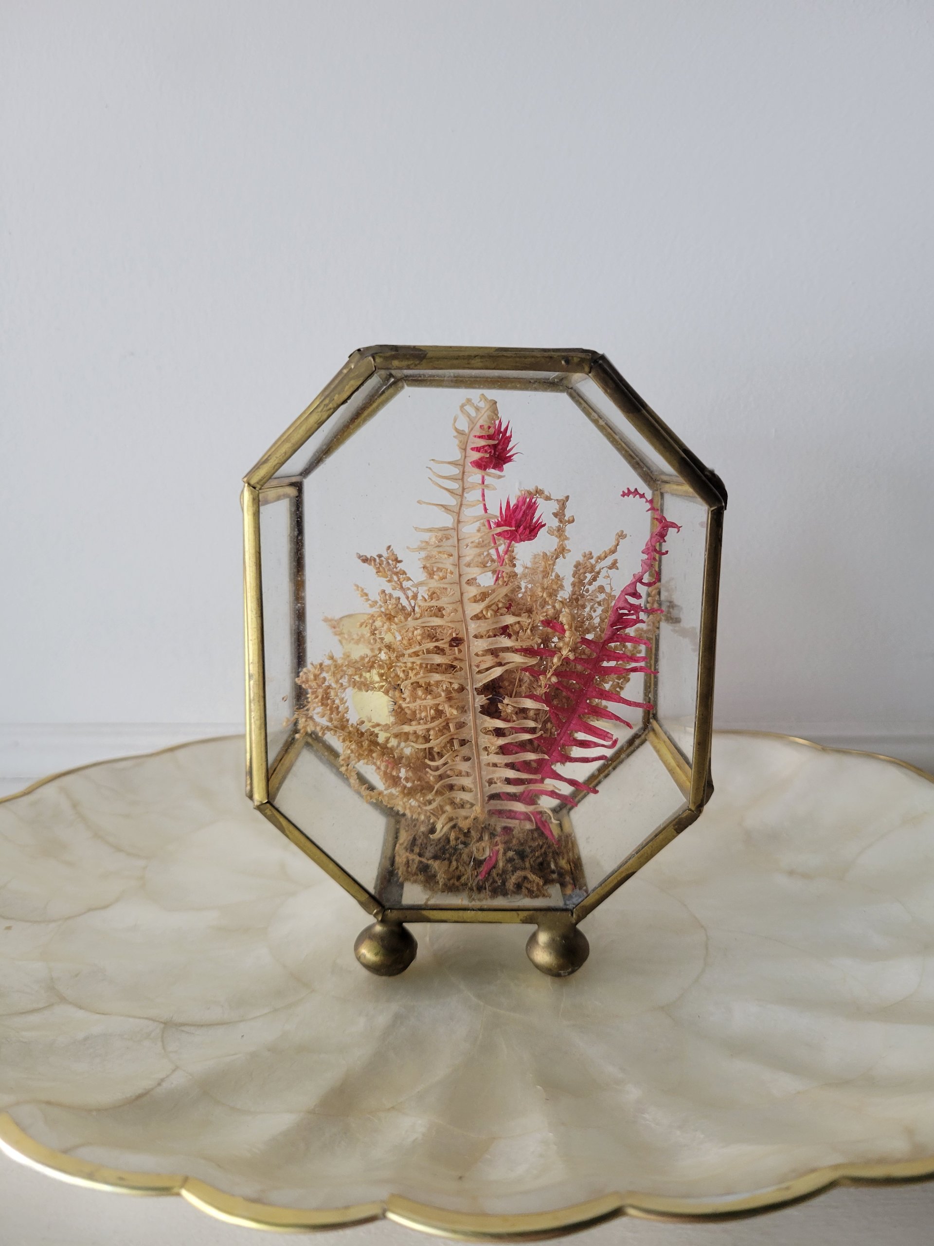 Mini Brass & Glass Cabinet | Butterfly & Botanical Display — view 3