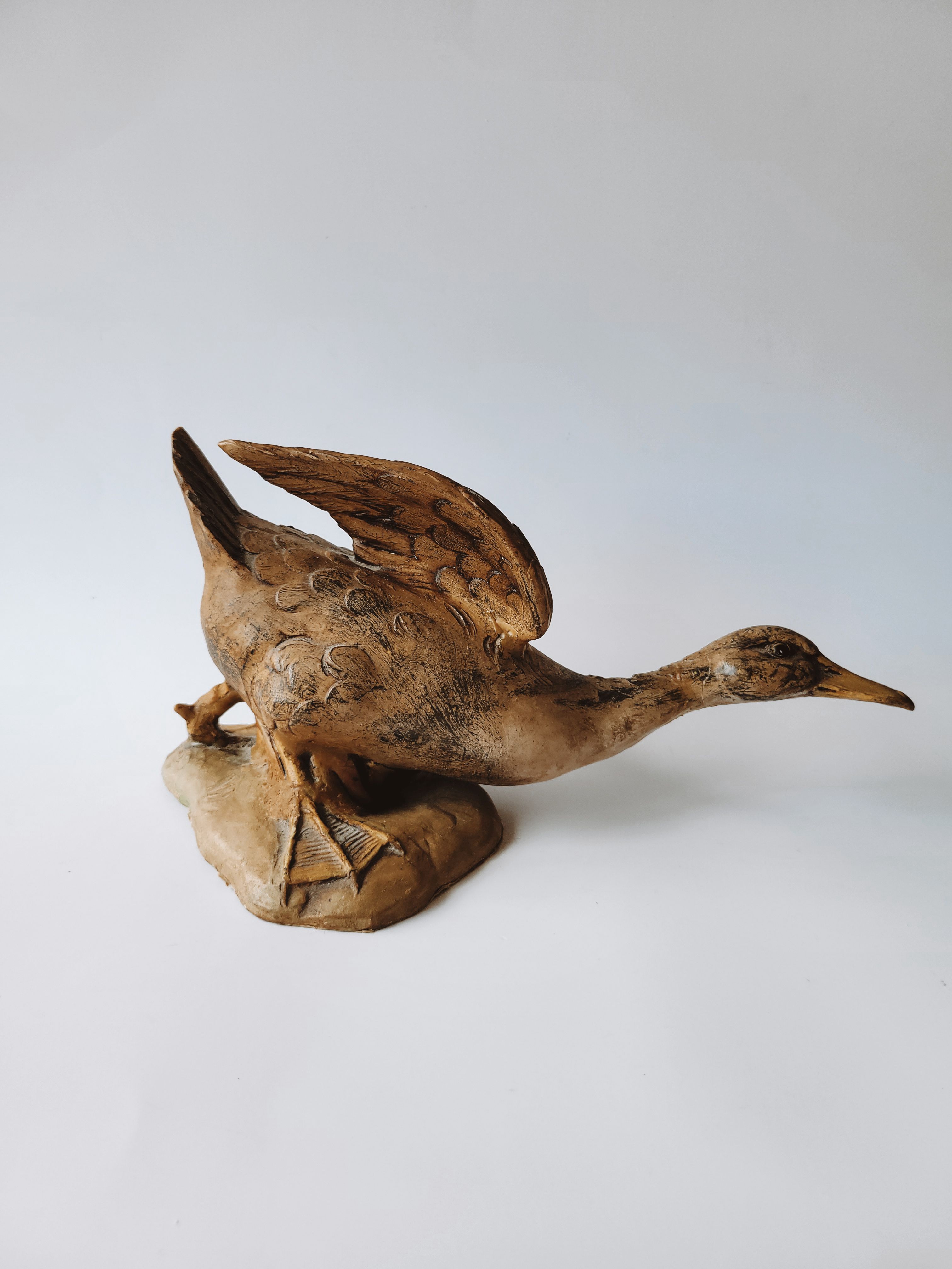 Rustic Duck