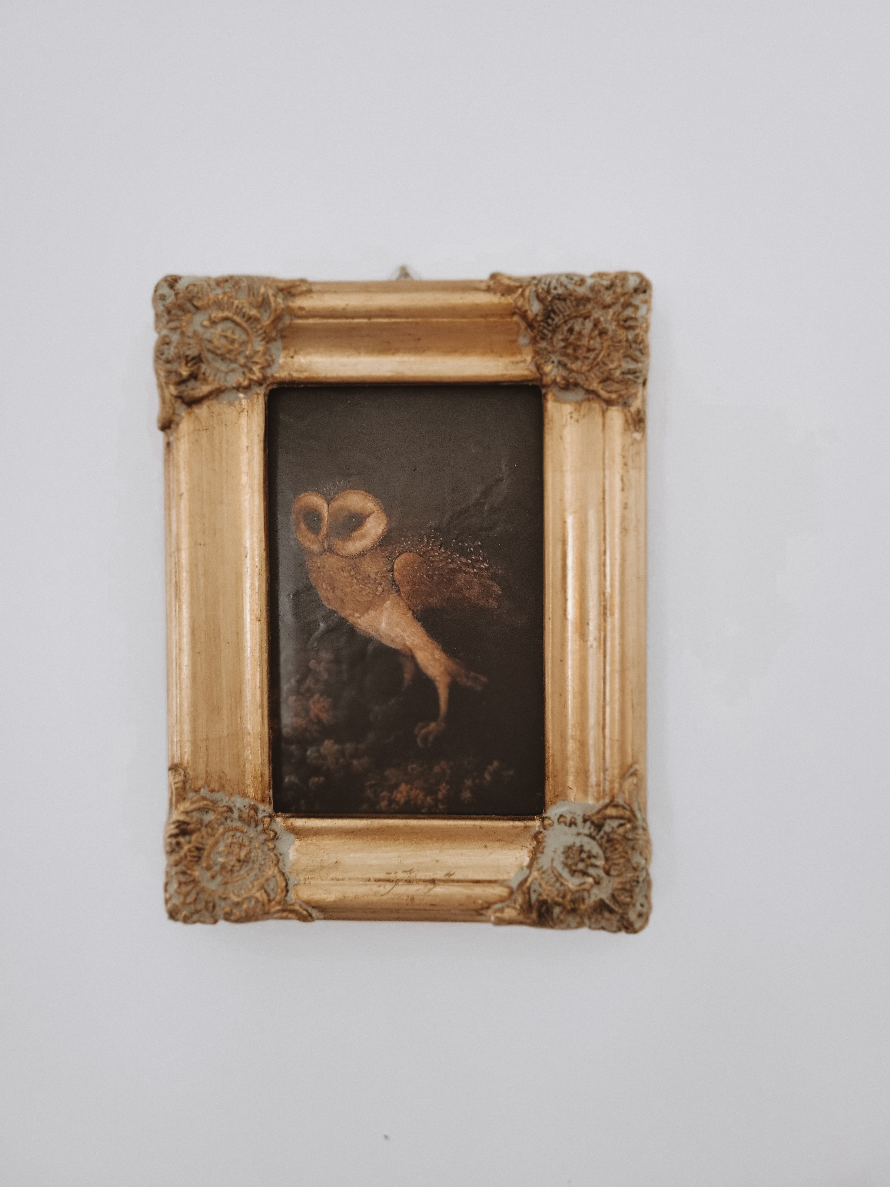 Framed Owl Print