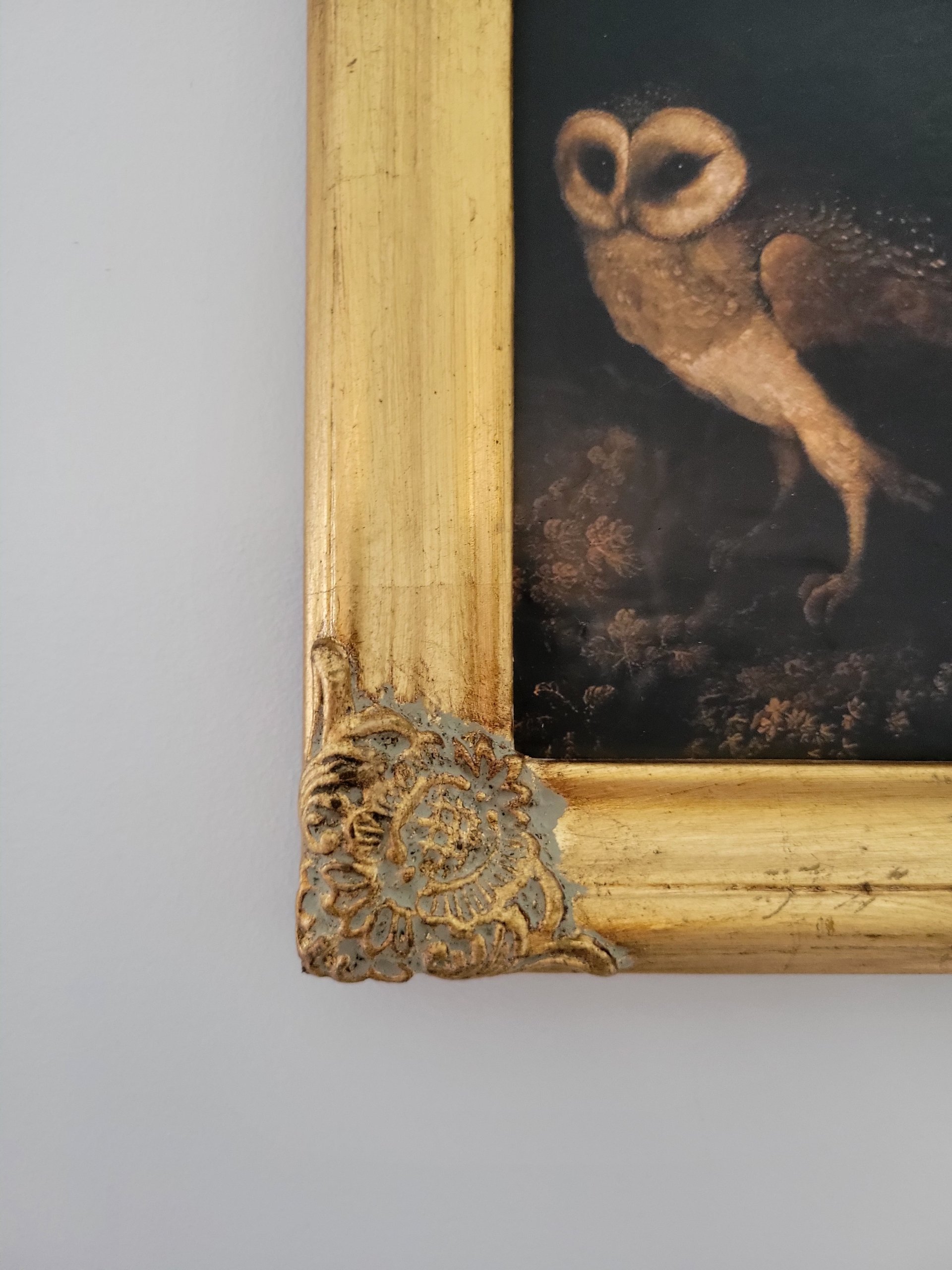 Framed Owl Print — view 3