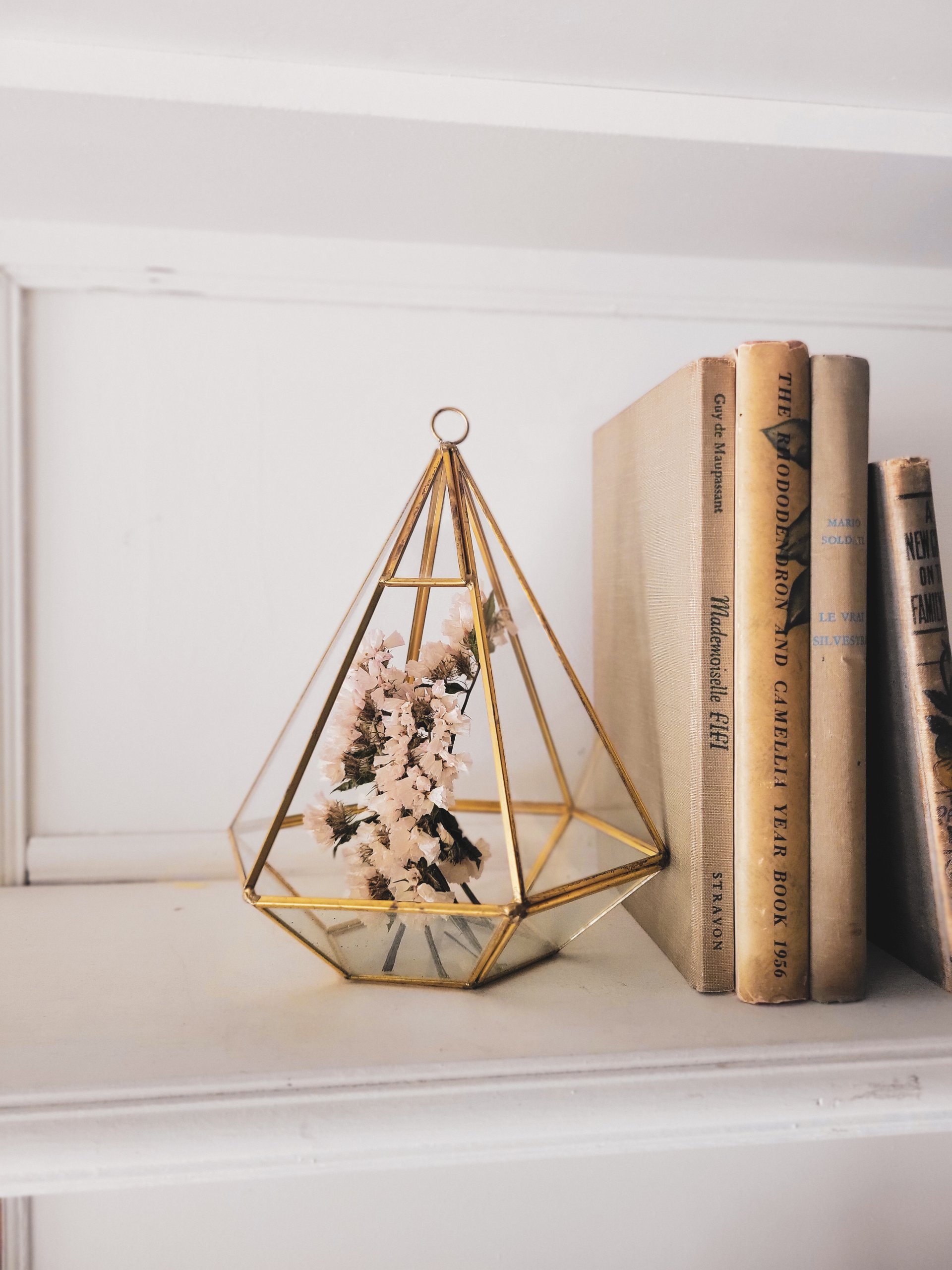 Vintage Brass & Glass Hanging Terrarium