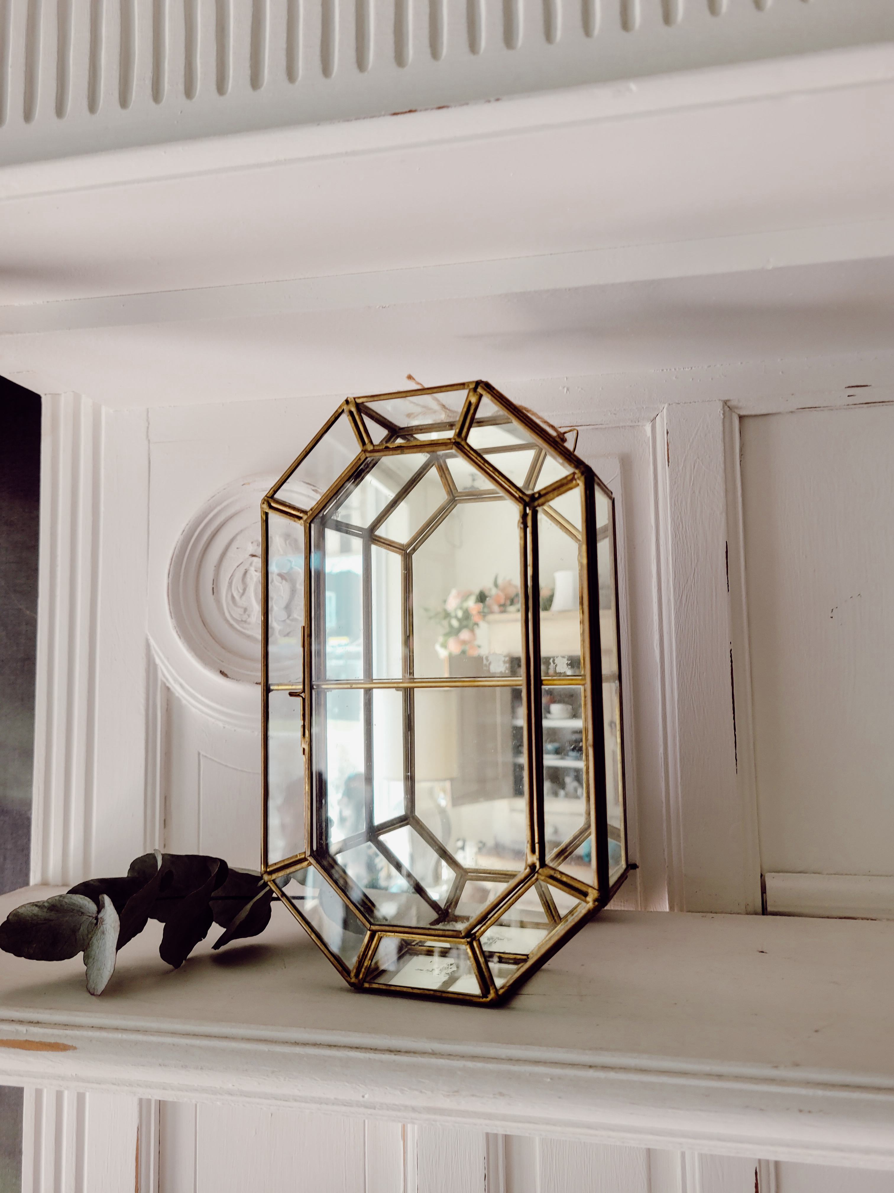 Vintage Brass & Glass Mirrored Curio Cabinet