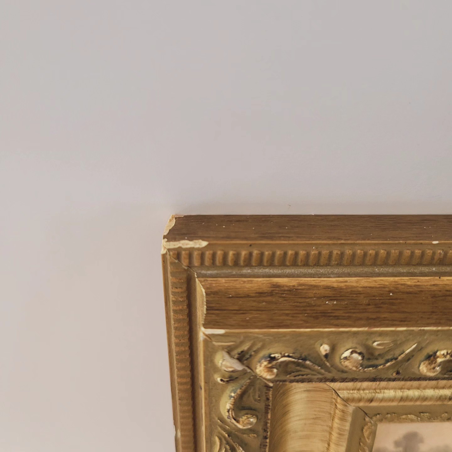 Ornate Frame Paired with a Landscape Print — view 4