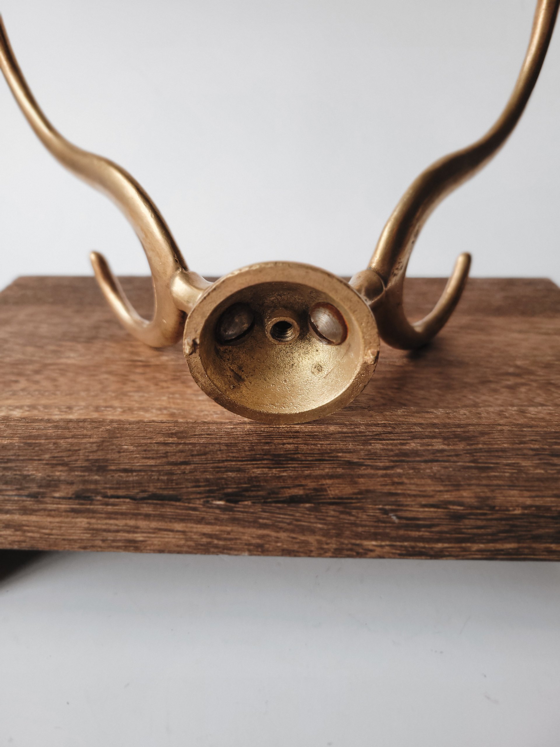 Double Brass Hooks — view 5