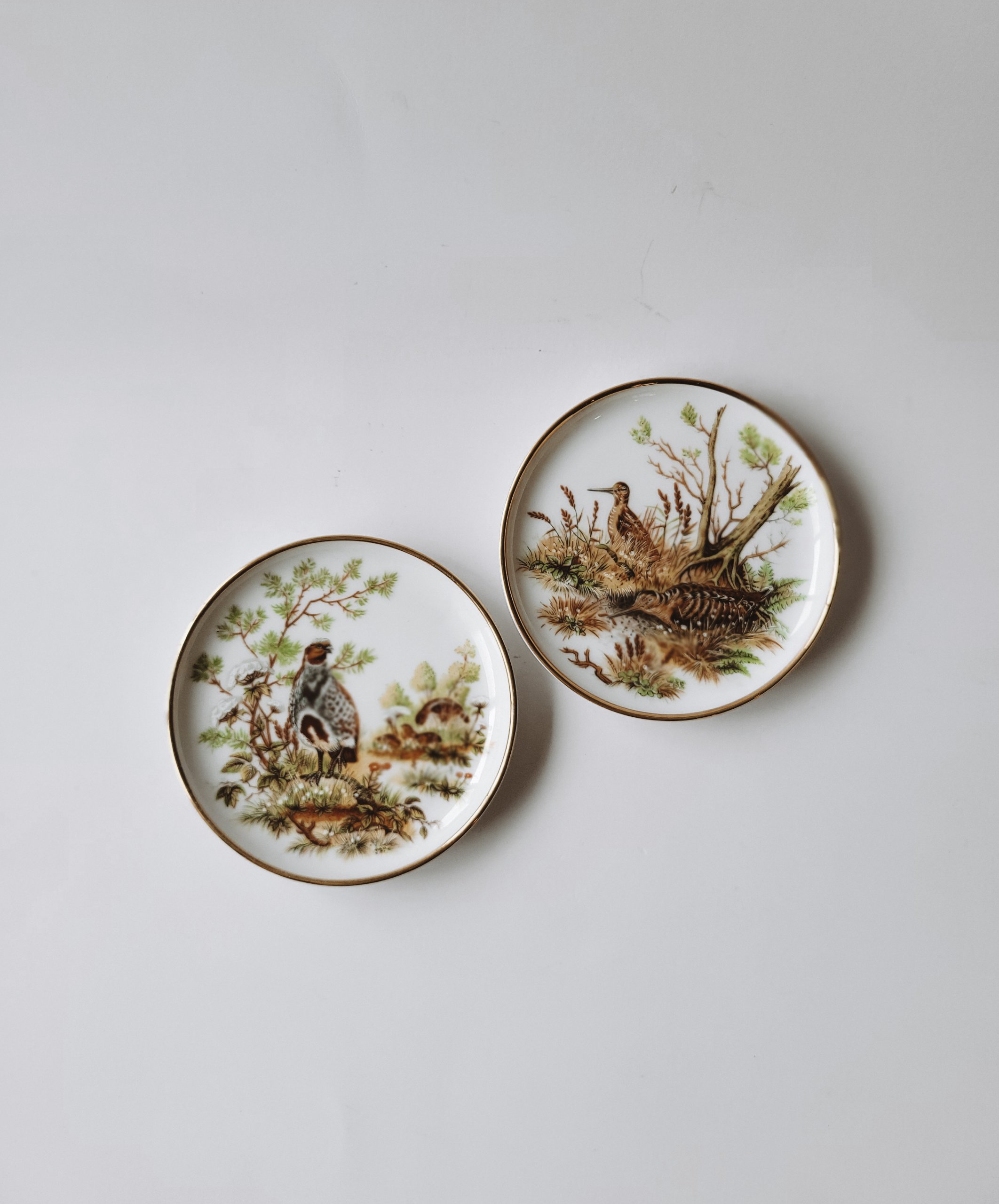 Pair of Game Bird Plates