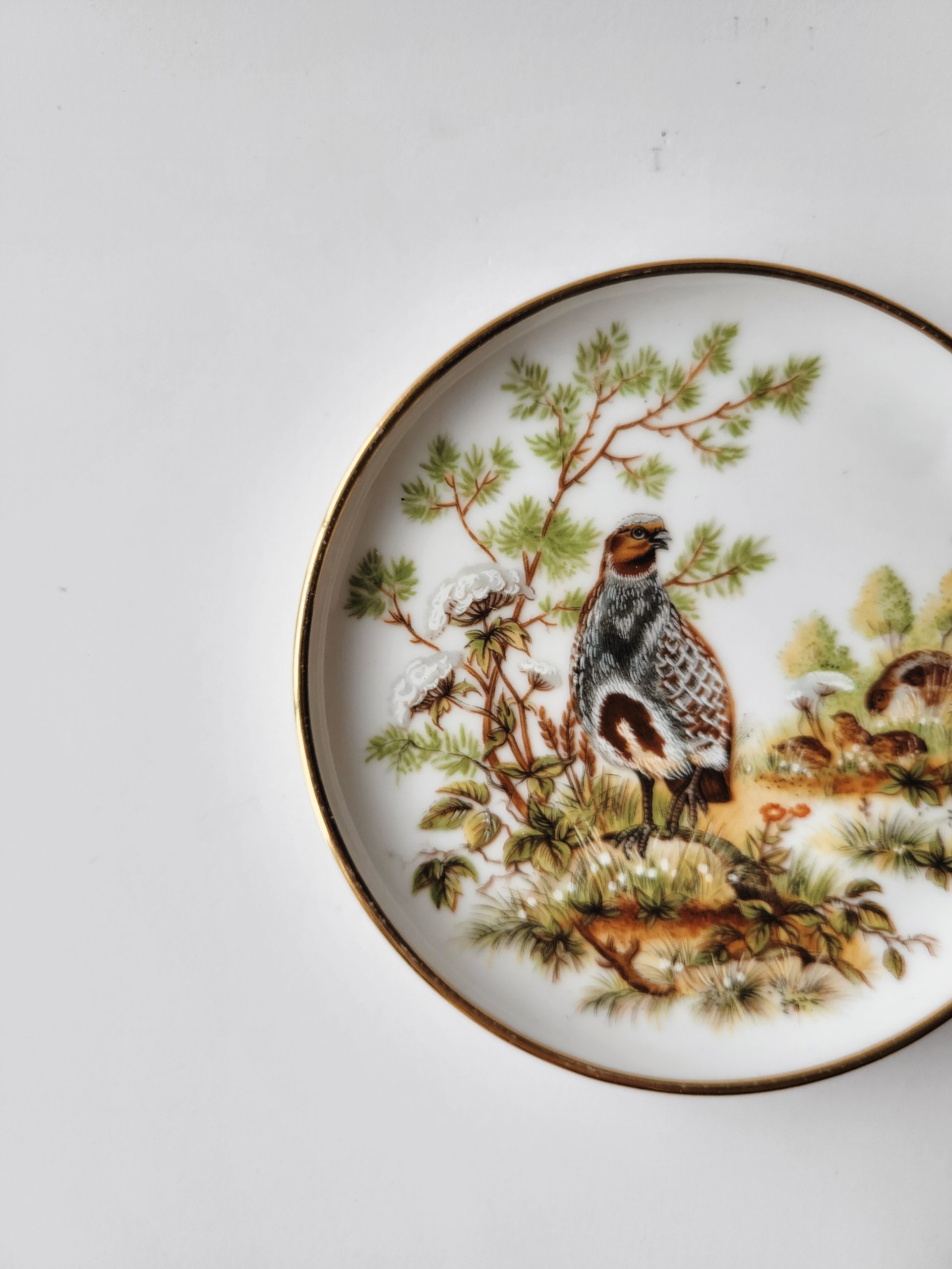 Pair of Game Bird Plates — view 2