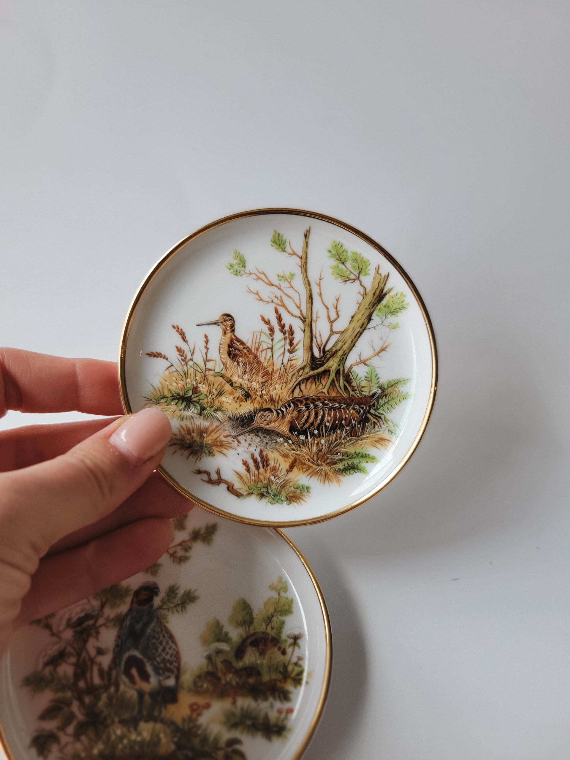 Pair of Game Bird Plates — view 3