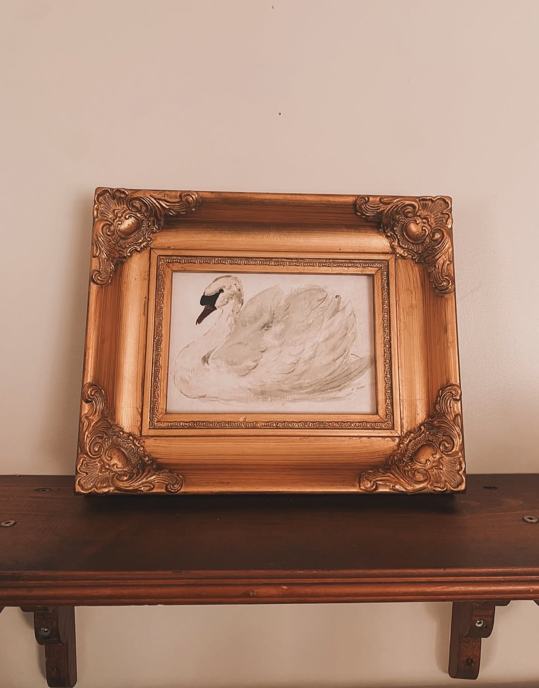White Swan Print