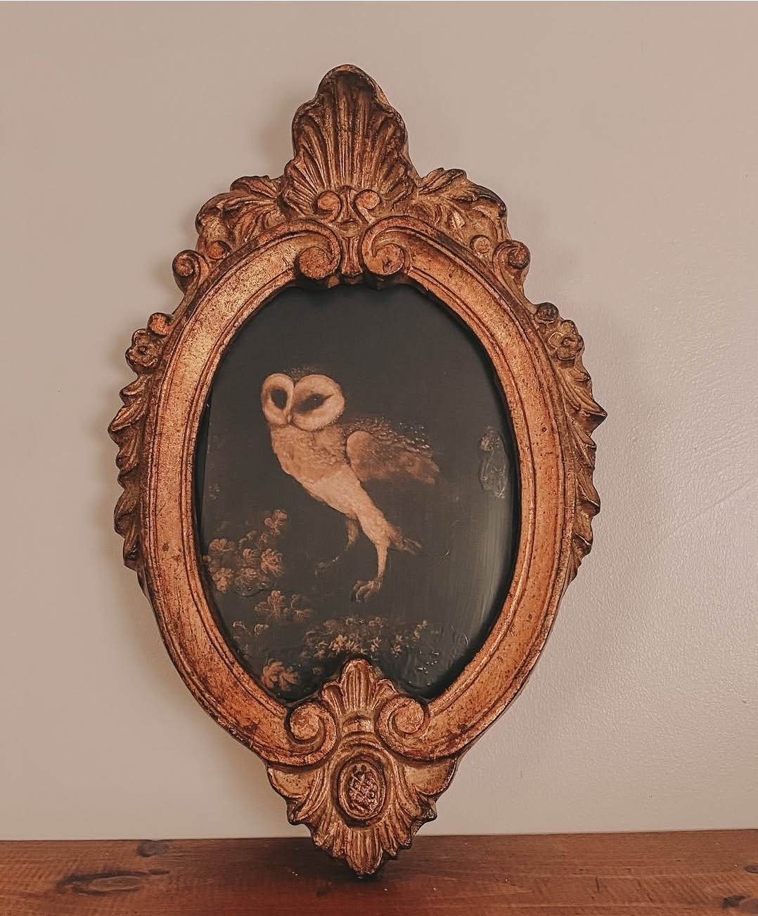 Framed Owl Print