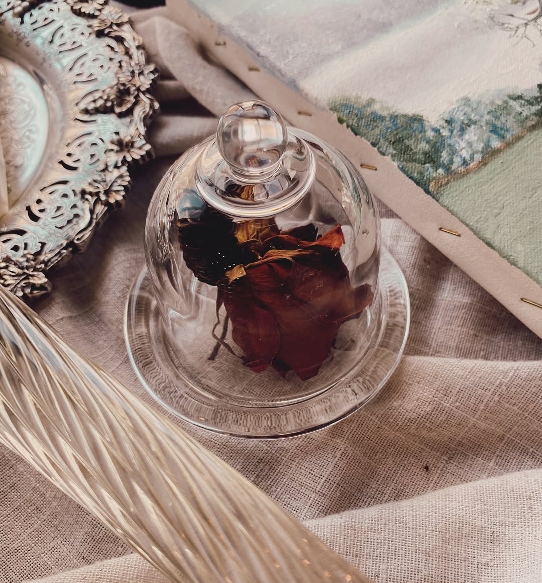 Mini Glass Cloche