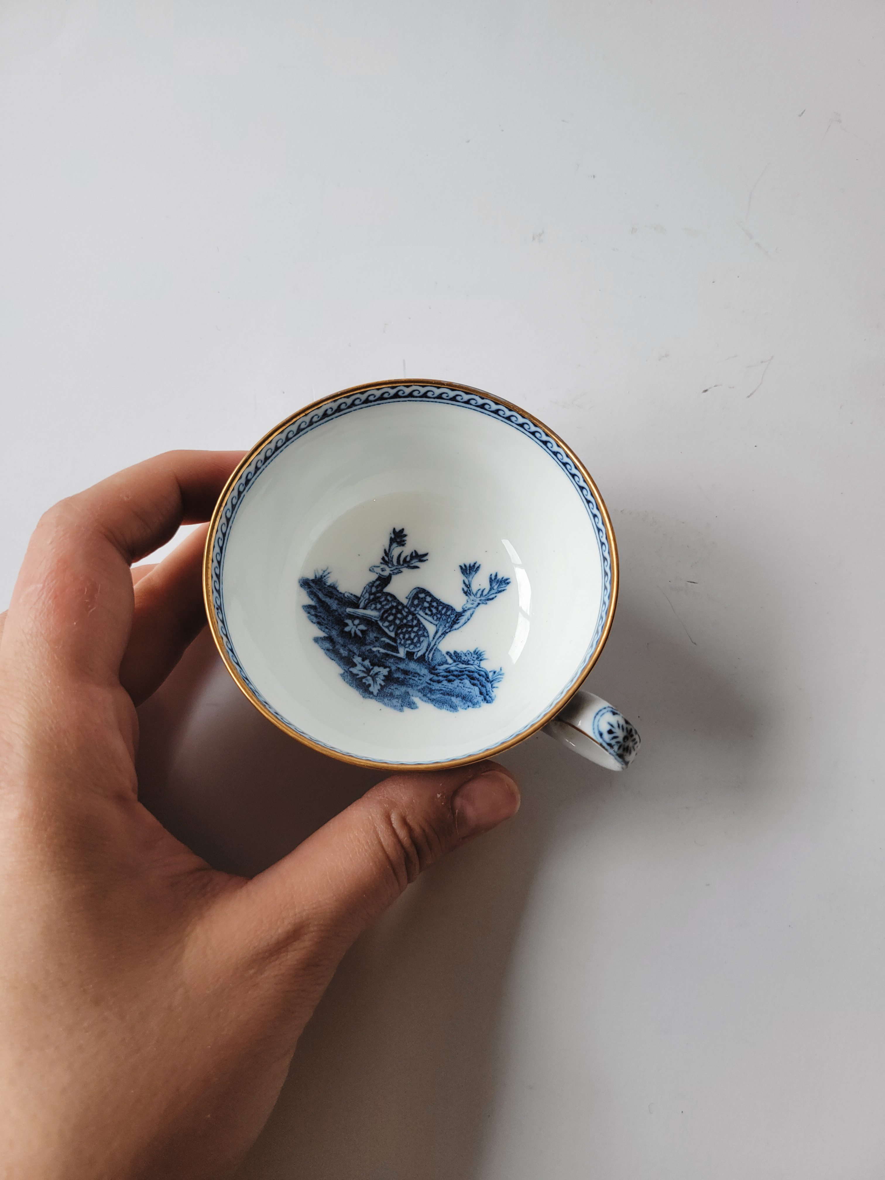 Wedgwood 'Fallow Deer' Teacup — view 2