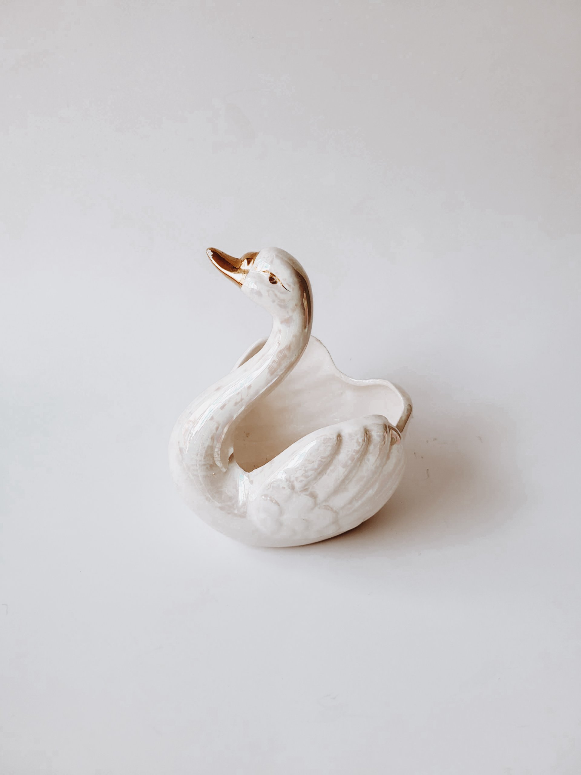 Iridescent Swan Dish