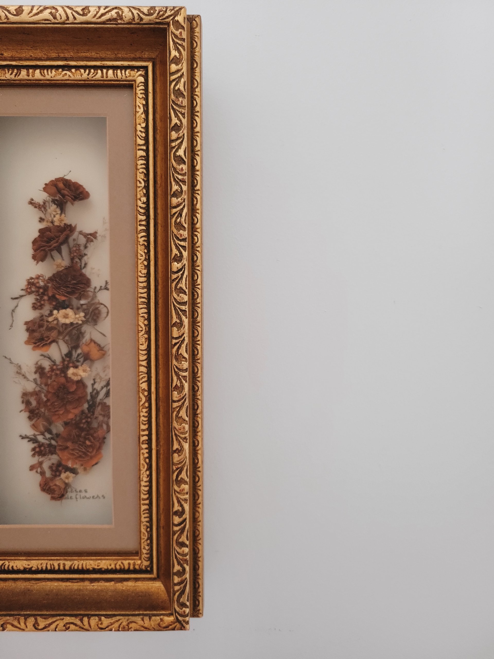 'Wilde Flowers' Dried Botanical Shadow Box — view 5