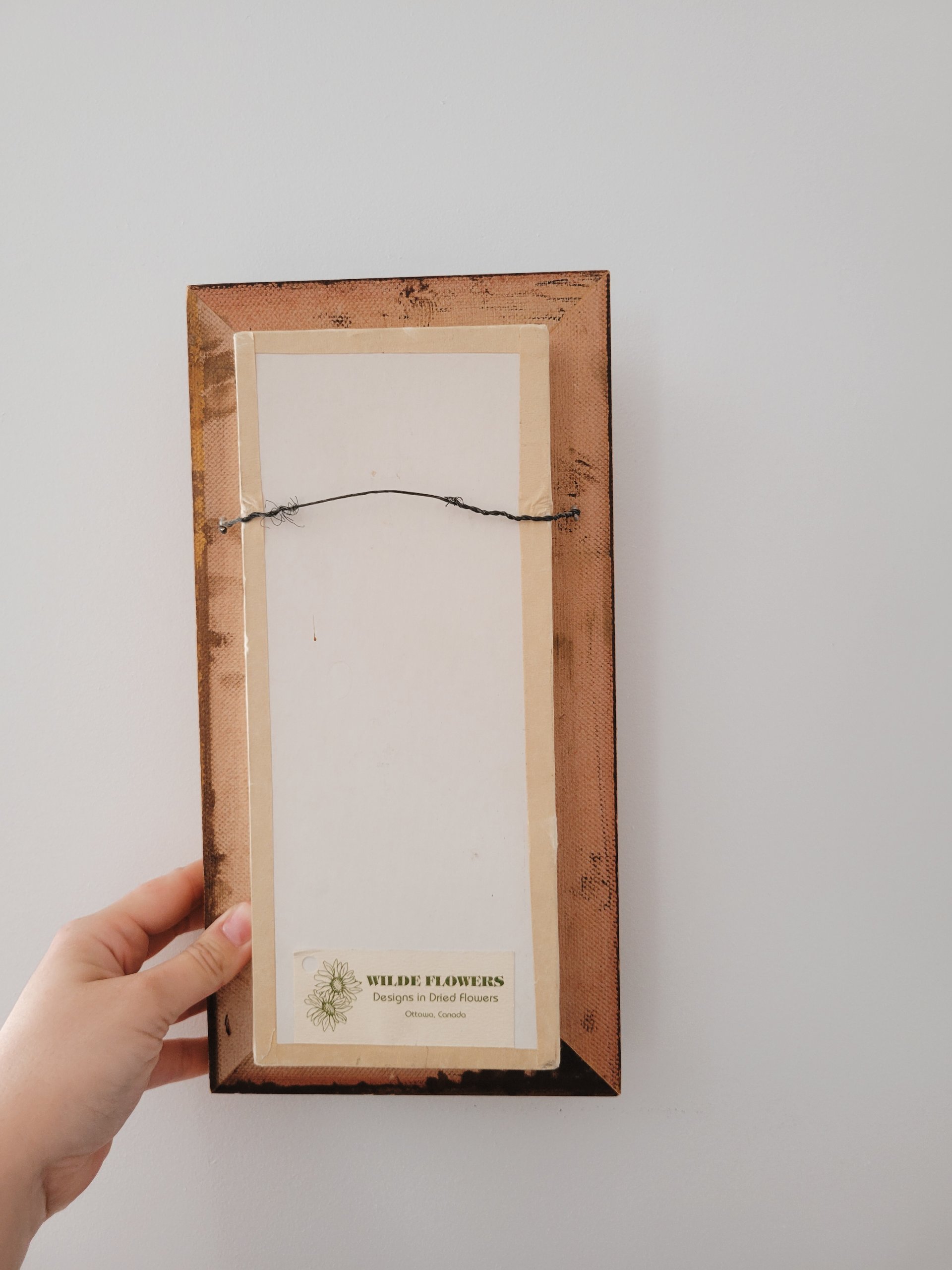 'Wilde Flowers' Dried Botanical Shadow Box — view 6