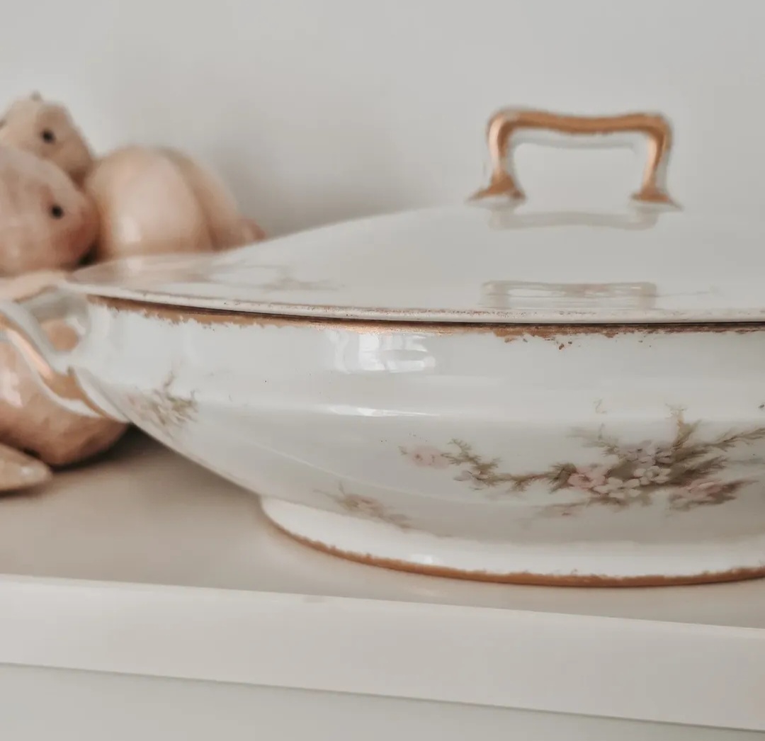 Theodore Haviland Limoges Porcelain Dish