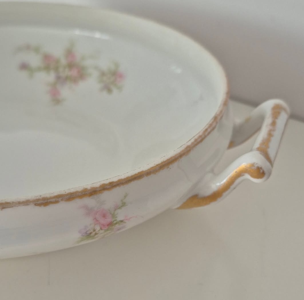 Theodore Haviland Limoges Porcelain Dish — view 3